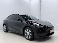 Tesla Model Y Rear-Wheel Drive - ფოტო 3