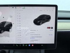 Tesla Model Y Rear-Wheel Drive - ფოტო 6