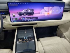 Lynk & Co Geely Lynk & Co 900 2.0T Ultra 6-Seater - ფოტო 12