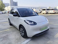 Wuling Binguo 333km Joy Edition - ფოტო 3