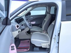 ORA White Cat 2020 305km Luxury - ფოტო 9