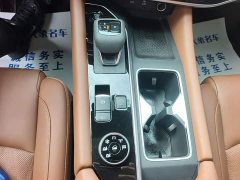 Nissan Tanlù 380VC-TURBO AWD Smart Premium Edition 6-Seater - ფოტო 13