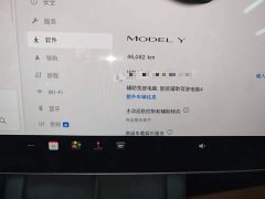 Tesla Model Y Rear-Wheel Drive - ფოტო 11