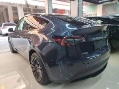 Tesla Model Y Rear-Wheel Drive - ფოტო 4