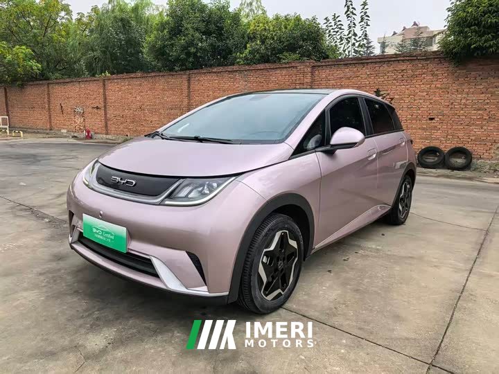 BYD Dolphin 405km Fashion Edition - ავტომობილი ჩინეთიდან
