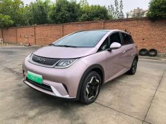 BYD Dolphin 405km Fashion Edition - ფოტო 1