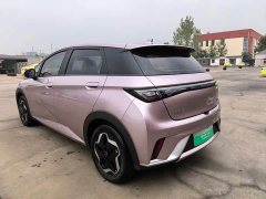 BYD Dolphin 405km Fashion Edition - ფოტო 10