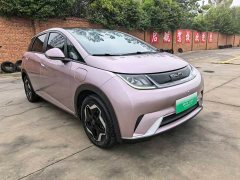 BYD Dolphin 405km Fashion Edition - ფოტო 2