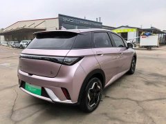 BYD Dolphin 405km Fashion Edition - ფოტო 8