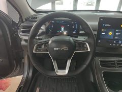 BYD Destroyer 05 Glory Edition DM-i 55KM Luxury - ფოტო 10