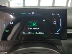 BYD Destroyer 05 Glory Edition DM-i 55KM Luxury - ფოტო 11