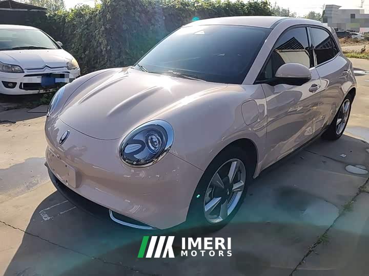 ORA Good Cat 2023 401km Standard Range Luxury LFP - ავტომობილი ჩინეთიდან