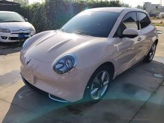 ORA Good Cat 2023 401km Standard Range Luxury LFP - ფოტო 1
