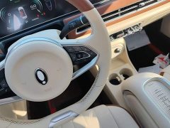 ORA Good Cat 2023 401km Standard Range Luxury LFP - ფოტო 13