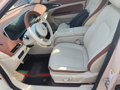 ORA Good Cat 2023 401km Standard Range Luxury LFP - ფოტო 14