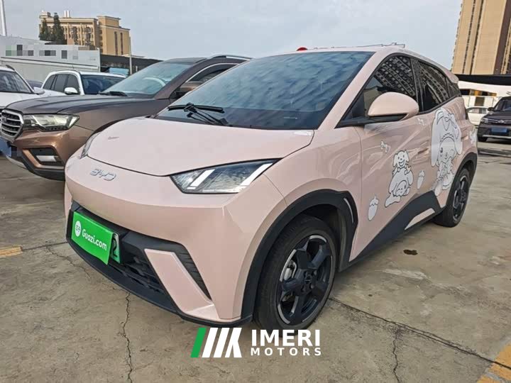 BYD Seagull Glory Edition 305km Freedom Version - ავტომობილი ჩინეთიდან