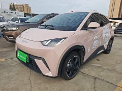 BYD Seagull Glory Edition 305km Freedom Version - ფოტო 1