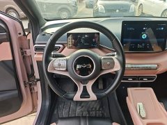 BYD Seagull Glory Edition 305km Freedom Version - ფოტო 10