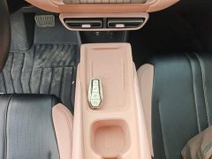 BYD Seagull Glory Edition 305km Freedom Version - ფოტო 13