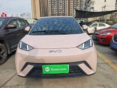 BYD Seagull Glory Edition 305km Freedom Version - ფოტო 2