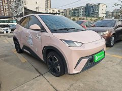 BYD Seagull Glory Edition 305km Freedom Version - ფოტო 3