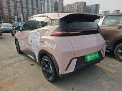 BYD Seagull Glory Edition 305km Freedom Version - ფოტო 4
