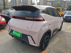 BYD Seagull Glory Edition 305km Freedom Version - ფოტო 6