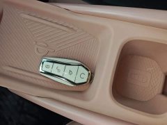 BYD Seagull Glory Edition 305km Freedom Version - ფოტო 8