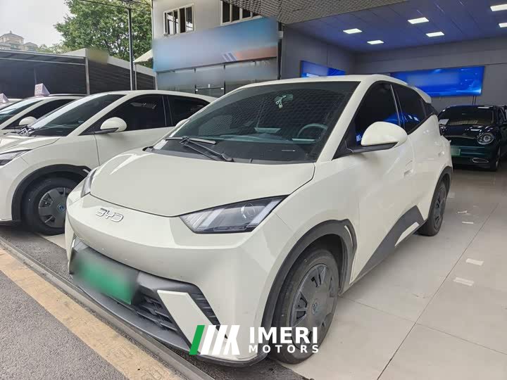 BYD Seagull Glory Edition 305km Vitality Version - ავტომობილი ჩინეთიდან