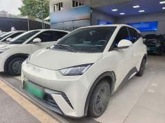 BYD Seagull Glory Edition 305km Vitality Version - ფოტო 1