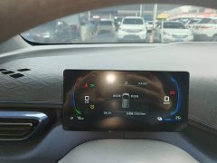 BYD Seagull Glory Edition 305km Vitality Version - ფოტო 11