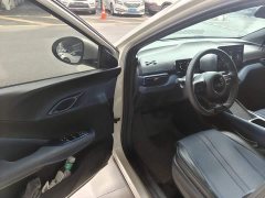 BYD Seagull Glory Edition 305km Vitality Version - ფოტო 15