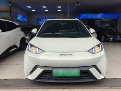BYD Seagull Glory Edition 305km Vitality Version - ფოტო 2