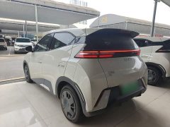 BYD Seagull Glory Edition 305km Vitality Version - ფოტო 4