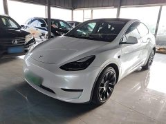 Tesla Model Y Long Range All-Wheel Drive 3D7 - ფოტო 1