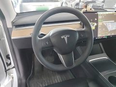 Tesla Model Y Long Range All-Wheel Drive 3D7 - ფოტო 10