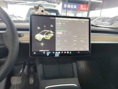 Tesla Model Y Long Range All-Wheel Drive 3D7 - ფოტო 12