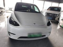 Tesla Model Y Long Range All-Wheel Drive 3D7 - ფოტო 2