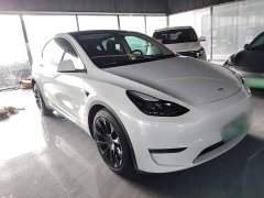 Tesla Model Y Long Range All-Wheel Drive 3D7 - ფოტო 3
