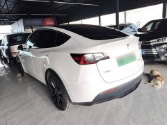 Tesla Model Y Long Range All-Wheel Drive 3D7 - ფოტო 4