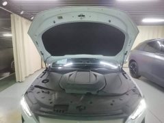 BYD Qin PLUS 2021 EV 500KM Luxury - ფოტო 19