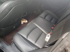 Tesla Model 3 Standard Range RWD Upgrade - ფოტო 11