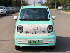 FAW Besturn Xiaoma 2026 222km Colorful Edition - ფოტო 2
