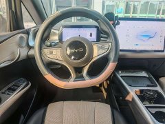 BYD Dolphin Smart Drive 410km Fashion Edition - ფოტო 11