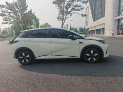BYD Dolphin Smart Drive 410km Fashion Edition - ფოტო 12