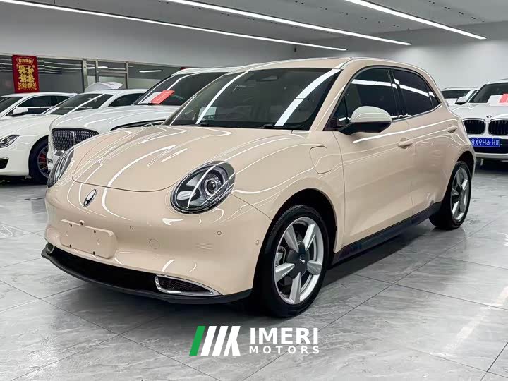 ORA Good Cat 400km Standard Range Athena Edition Ternary Lithium - ავტომობილი ჩინეთიდან