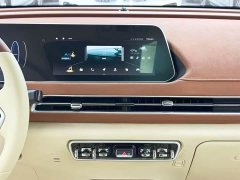 ORA Good Cat 400km Standard Range Athena Edition Ternary Lithium - ფოტო 17