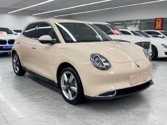 ORA Good Cat 400km Standard Range Athena Edition Ternary Lithium - ფოტო 3