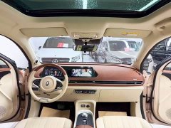 ORA Good Cat 400km Standard Range Athena Edition Ternary Lithium - ფოტო 9