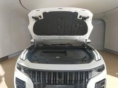 Lynk & Co Geely Lynk & Co 09 2021 2.0T Halo Six-Seater - ფოტო 19